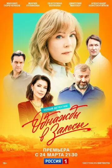 Однажды в Залесье бесплатно 1-8 серия