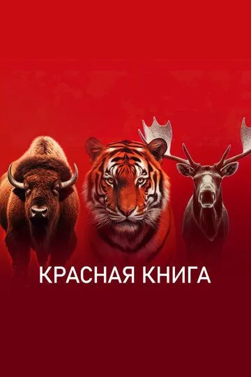 Красная книга бесплатно 1-4 серия